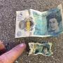 Великобритания вводит в обращение пластиковые банкноты Как выглядят пластиковые деньги